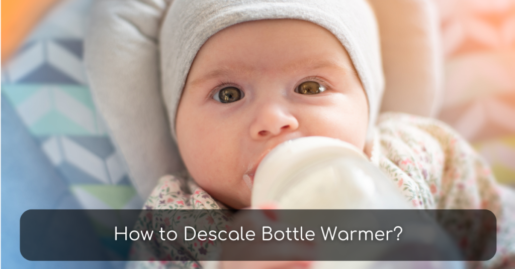 How to Descale Bottle Warmer